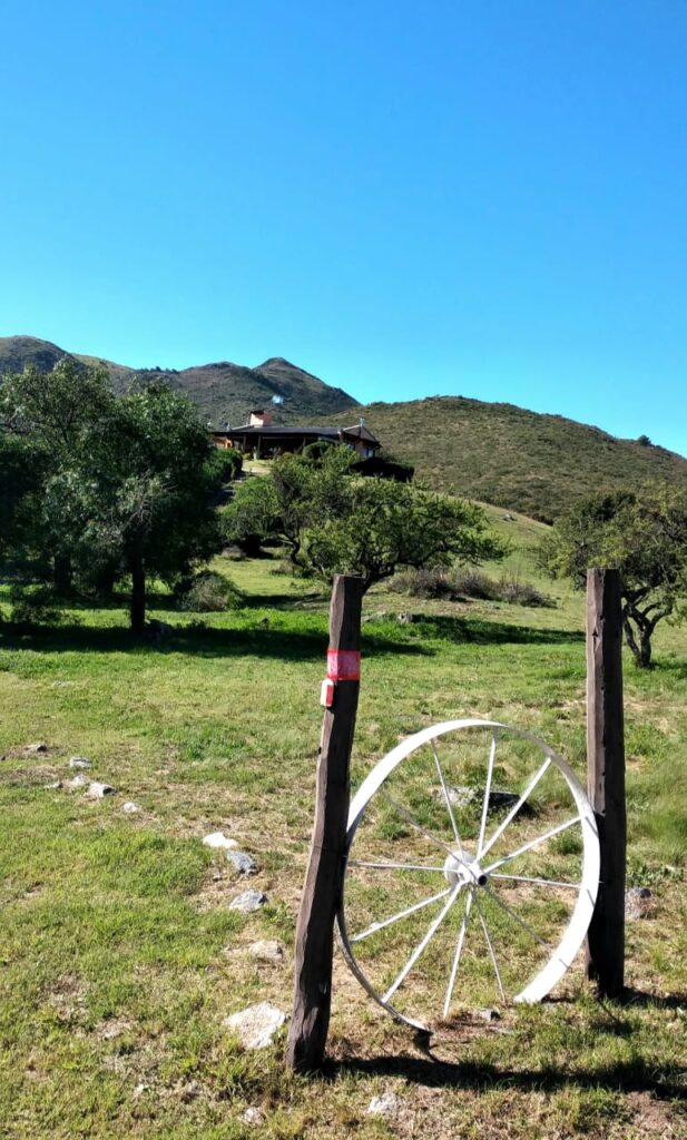 YEQUI ASADO DE CAMPO